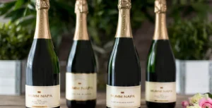 Qu'est-ce que le Champagne Mumm Blanc de Blancs et Ses Caractéristiques 8 bouteille de champagne mumm blanc de blancs elegante