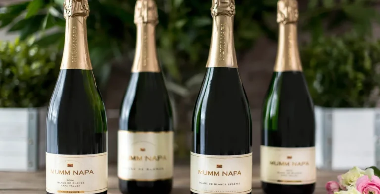 Qu'est-ce que le Champagne Mumm Blanc de Blancs et Ses Caractéristiques 2 bouteille de champagne mumm blanc de blancs elegante