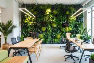 bureaux modernes avec lumiere naturelle et plantes