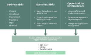 gestion des risques matieres premieres axa strategique