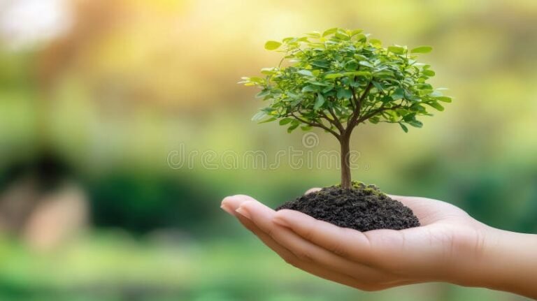 C’est quoi une assurance vie et comment fonctionne-t-elle exactement