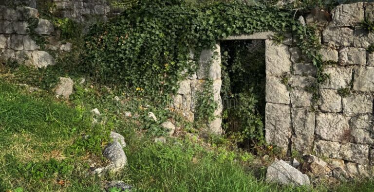 Comment Faire Mourir du Lierre Sur Un Mur Sans L&rsquo;abîmer
