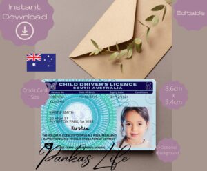 permis de conduire avec symbole neph eclatant