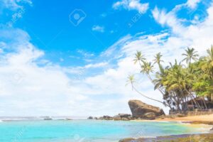 plage tropicale ensoleillee au sri lanka
